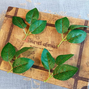 t̑1030t ͂ lH΂̗t [tp[c t[ p[c t[`[t t[AWg  RT[Wޗ ANZT[ޗ ԃp[c diy 