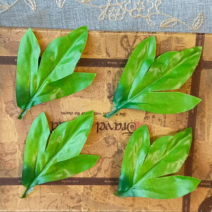 t̑20t ͂ lH΂̗t [tp[c t[ p[c t[`[t t[AWg  RT[Wޗ ANZT[ޗ ԃp[c diy 