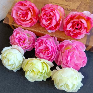 RT[Wp10KN p ANZT[p RT[Wޗ |pi fRp[W diy   ԃ`[t EGfBO |ޗ f  t[ 