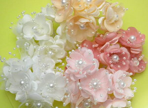 ~jԉԑ19Fy6zp[r[YRT[W,wAANZT[,Ǌ|,p