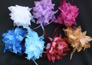 ݌ɏlC2WAYI[KW[RT[WI^OXOK􁚑Ǝ  w   a  я