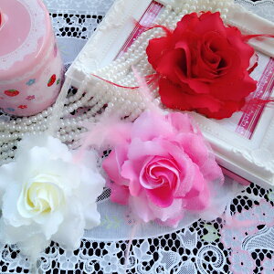 2wayRT[W݌Ɉ|KNRT[W _A lCs Ǝ  w   a  я  hX s[X wbhhX  EFfBO p