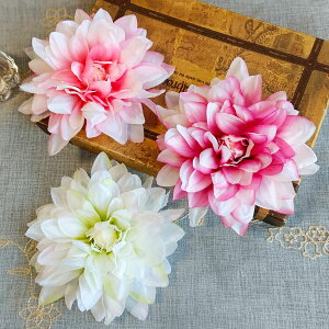 2wayRT[W݌Ɉ|聚 Ǝ  w   a  я  hX s[X wbhhX  EFfBO p[eB[ X[c tH[} U