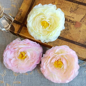 2wayRT[W݌Ɉ|聚300OFF Ǝ  w   a  я  hX s[X wbhhX  EFfBO p[eB[ X[c tH