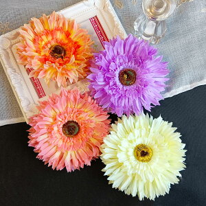 2WAYeԃRT[WBiԕi͕s󂠂聚Ǝ  w   a  яU ܎O wbhhX   p[eB[ q X[c tH[}