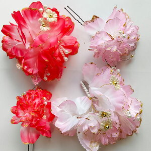 ݌Ɉ|聚500OFF2_ZbgiR[^Usjl  a   a  l ܎O U a ߂ nhCh a   u