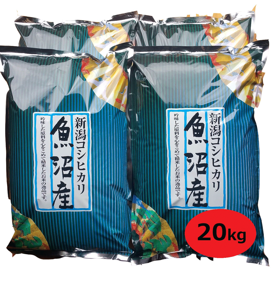 魚沼産 コシヒカリ　棚田米【約20キロ】 受賞多数！ R6年産 魚沼産コシヒカリ ツバメの飛び交う棚田米