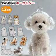 ＼ クーポンで1個580円~★一部即納 ／ 犬の毛収納キーホルダー 透明キーホルダー 犬の毛 保存 思い出 メ…