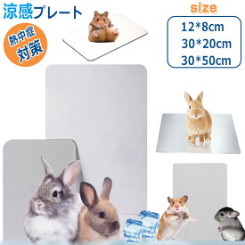 ＼ ペットの暑さ対策 ／ 涼感プレート 暑さ対策 ひんやり 涼しい 猫用 冷感プレートマット 冷却 冷却マット 省エネ電気いらず 物理冷却 マット ペット用品 熱中症対策 小型犬 猫 小動物 アルミ アルミシート 物理冷却 冷却マット 小動物用夏グッズ 暑さ対策