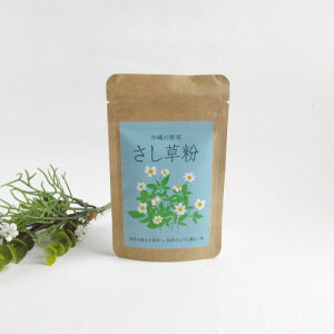 1000~|bLb̖쑐 bJVEESbX[p[t[hbA`GCWO