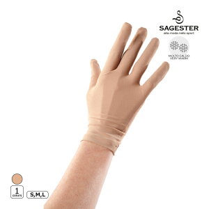 SAGESTER ANZT[ 528  -T[} tBMAXP[gybsOz -NP/TC