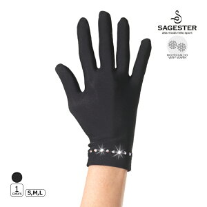 SAGESTER ANZT[ 536SW Xg[t tBMAXP[gybsOz -NP/TC