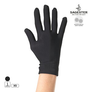 SAGESTER ANZT[ 536  -T[} XSTCY tBMAXP[gySALE!!zybsOz -NP/TC