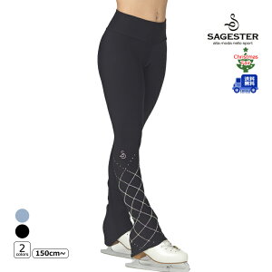 yzSAGESTER pc 416 fB[X tBMAXP[gybsOz -TC/LP+