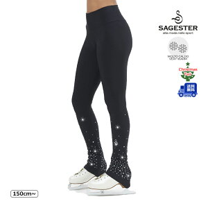 yzSAGESTER pc 482 fB[X tBMAXP[gybsOz -TC/LP+