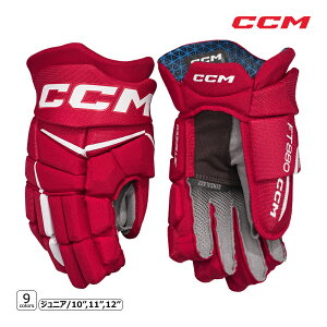 CCM O[u WFbgXs[h FT880 WjA ACXzbP[ tFAΏۏi