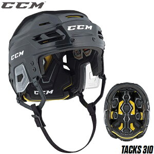 CCM wbg ^bNX 310 ACXzbP[