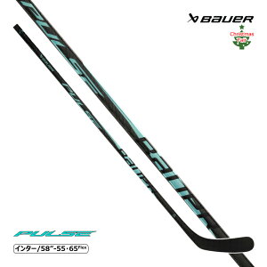 yzBAUER s[XXeBbN HO25 pX C^[ ACXzbP[ tFAΏۏi