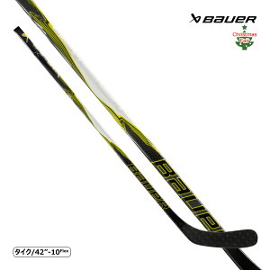 BAUER s[XXeBbN S25 xCp[ ^CN ACXzbP[ tFAΏۏi