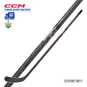 yzCCM s[XXeBbN FT GHOST VjA ACXzbP[ tFAΏۏi