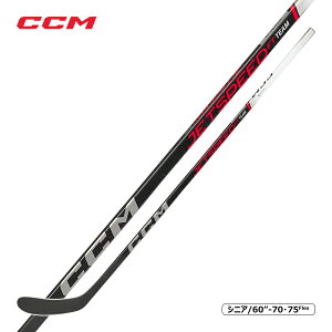 CCM s[XXeBbN WFbgXs[h `[ VjA ACXzbP[ySALE!!z