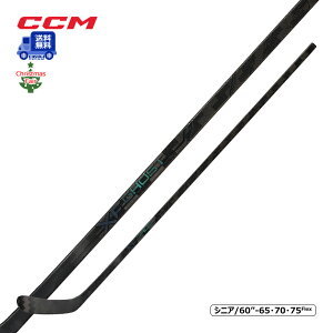 yzCCM s[XXeBbN ^bNX XF GHOST VjA ACXzbP[ tFAΏۏi