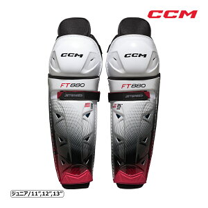 CCM K[h WFbgXs[h FT880 WjA ACXzbP[ tFAΏۏi