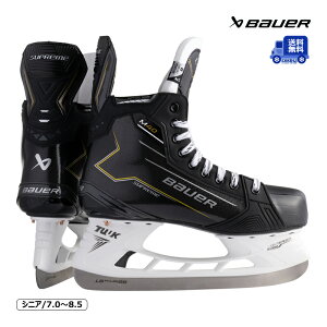 yzBAUER XP[gC S24 V[v[ M40 VjA ACXzbP[