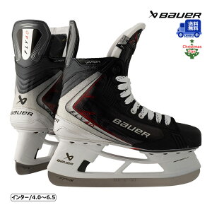 yzBAUER XP[gC S25 xCp[ FLY40 C^[ ACXzbP[ tFAΏۏi