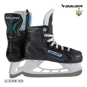 BAUER XP[gC S21 X-LP [X ACXzbP[ tFAΏۏi