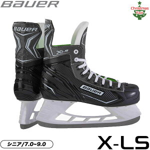 BAUER XP[gC S21 X-LS VjA ACXzbP[ tFAΏۏi