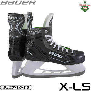 BAUER XP[gC S21 X-LS WjA ACXzbP[ tFAΏۏi