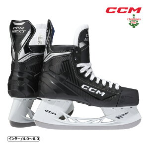 CCM XP[gC lNXg C^[ ACXzbP[ tFAΏۏi