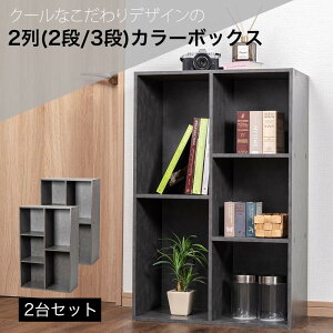 Z[ΏہIyVX[p[SALE!܂̓Gg[2(2i/3i)J[{bNX [{bNX BOX [Ƌ 2Zbg 2g eʃ^Cv AEgbg