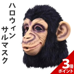 y9/20聚P+3{znEB ʔ RXv T }XN   }XN ʔ 낢 RX ߑ Aj} 蕨  RX`[ ]