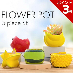 yP+3{Izy 5_Zbg z Aؔ   v^[ A  킢 Aؔ  ϗtA  픫 1 2 T{e A ^  񂹐A 