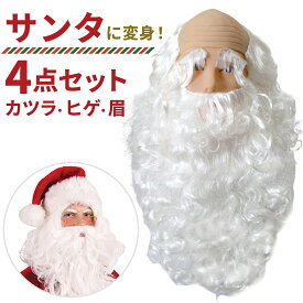 サンタ カツラ 髭 サンタのひげ ヒゲ サンタクロース ウィッグ コスプレ かつら ひげ クリスマス