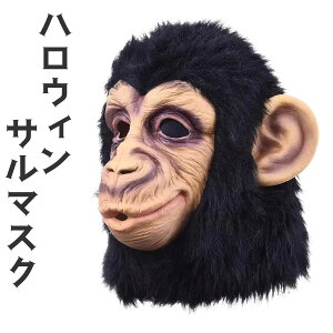 nEB ʔ RXv T }XN   }XN ʔ 낢 RX ߑ Aj} 蕨  RX`[ ]