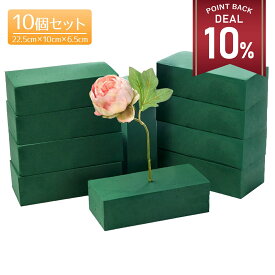 【期間限定 10%還元】【高品質10個セット】フローラルフォーム ドライ セット 花 生け花 オアシス アクアフォーム 生花用 フラワーアレンジメント フローライト 水 吸う 吸水 花資材 スポンジ【全国送料無料・あす楽即納】