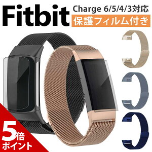�y�}���\�����聚P+5�{�I�z�y�ی�t�B�����t�zFitbit Charge6 Charge5 Charge4 Charge3 charge 6 5 4 3 ���� �x���g �o���h �X�e�����X �t�B�b�g�r�b�g �`���[�W6 �`���[�W5 �`���[�W4 �`���[�W3 �Ή� �x���g 
