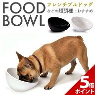【マラソン P+5倍】【楽天1位★獲得】【短頭種にピッタリ】犬 皿 陶器 鼻ぺちゃ 犬 食器 犬用 犬用品 食…