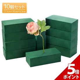 【★P+5倍！】【高品質10個セット】フローラルフォーム ドライ セット 花 生け花 オアシス アクアフォーム 生花用 フラワーアレンジメント フローライト 水 吸う 吸水 花資材 スポンジ【全国送料無料・あす楽即納】