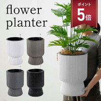 楽天市場】プランター 大型（サイズ（植木鉢）4 ～ 6号 