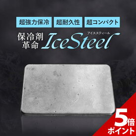 【マラソン限定★P+5倍！】【在庫処分セール】保冷剤 ステンレス 長時間 強力 冷却プレート ミニ アイスパック 保冷剤 解けない 蓄冷剤 長時間強力 ステンレス保冷剤 軽い 軽量 キャンプ クーラーボックス 冷却 【IceSteel・国内正規品】