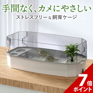 �y�労�ӍՌ��聚P+7�{�z������ �P�[�W ���|�����₷�� ঒��� ����P�[�X �A�N���� �J�� �P�[�W �� �T ���� �T���� �傫�� �J�G�� �g�J�Q ���I�p ���� �e�����E�� ����Z�b�g