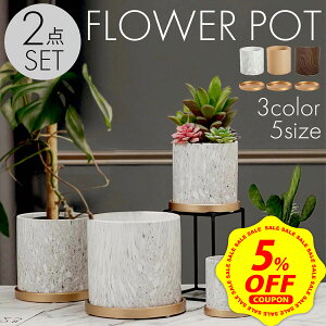 �y�労�ӍՁ�P+7�{&5%OFF�z�A�ؔ� ������� �v�����^�[ ���� �ϗt�A�� �����A�� �� �󂯎M ���픫 �[�^ 3�� 4�� 5�� 6�� ���A�� ������ ���^ �񂹐A�� �A�ؔ� ������� ���� ��^