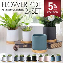 楽天市場】植木鉢 小型の通販