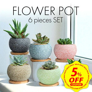 �y�労�ӍՌ��聚P+7�{�z�y 6�_�Z�b�g �z �A�ؔ� ������� �v�����^�[ �����A�� �� ���� �A�ؔ� ������ ���킢�� �ϗt�A�� ���픫 �󂯎M �[�^ �T�{�e�� ���A�� ���^ �񂹐A�� �k��