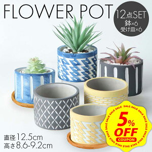 �y�労�ӍՁ�P+7�{&5%OFF�z�y 6�_�Z�b�g �z �A�ؔ� ������� �v�����^�[ �����A�� �� �A�ؔ� ������ �ϗt�A�� �� �[�^ 2�� 3�� 4�� �Z�����g�� �T�{�e�� ���A�� ���^ �񂹐A��