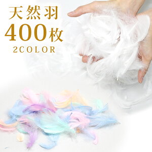 yՂ400zH | ޗ H diy f  VR tFU[ EGfBO V[ H  o uC_ t[V[